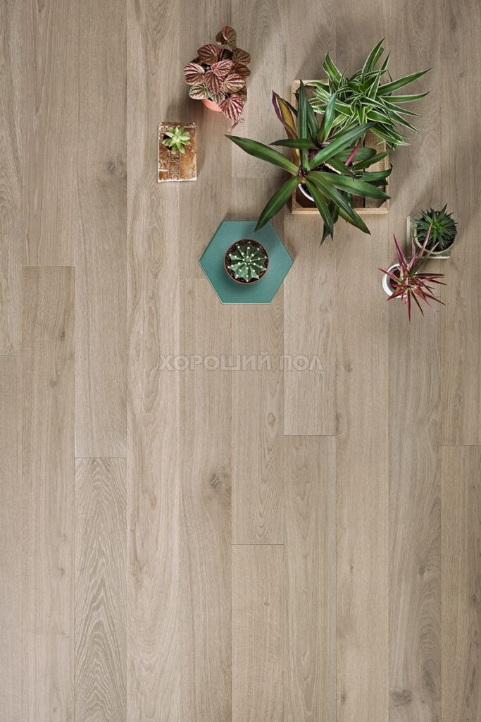 Инженерная доска COSWICK Дуб Серое дерево (Grey wood) Классическая Масло шелковое ультраматовое 1 Коммон 1167-3533