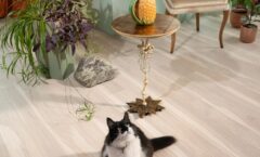 Инженерная доска COSWICK Дуб Белоснежный (Snow white) Дизайнерские решения (Designer Solution collection) Масло шелковое ультраматовое 1 Коммон 1167-3524-10