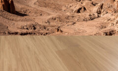 Инженерная доска COSWICK Дуб Атакама (Atacama) Дизайнерские решения (Designer Solution collection) Масло шелковое Селект энд Бэттер 1167-1211-10