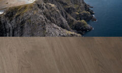 Инженерная доска COSWICK Дуб Нордкап (North Cape) Дизайнерские решения (Designer Solution collection) Масло шелковое Черектер Широкоформатная доска 1163-7275-10